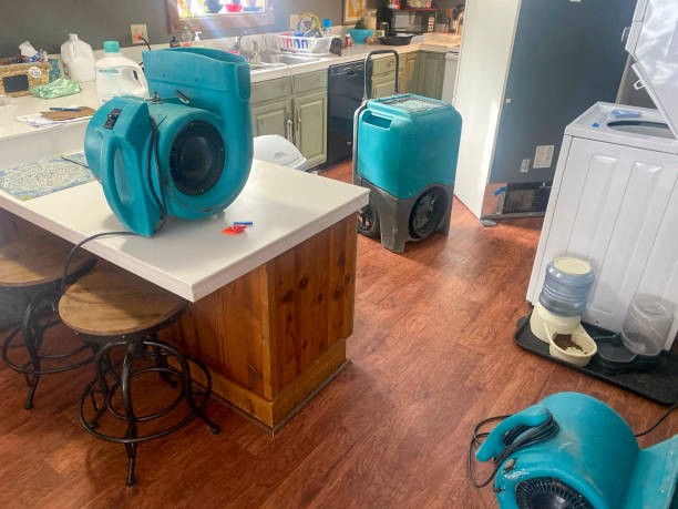Best Ceiling water damage repair  in Cisco, TX