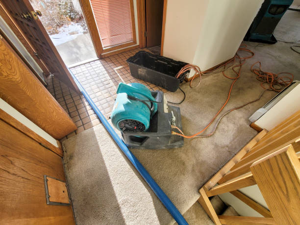 Best Fire Damage Restoration  in Cisco, TX