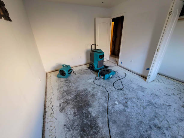 Best Flood restoration services  in Cisco, TX