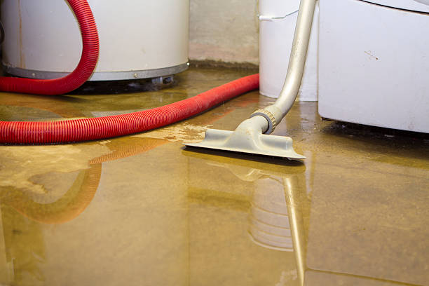 Best Water damage restoration near me  in Cisco, TX