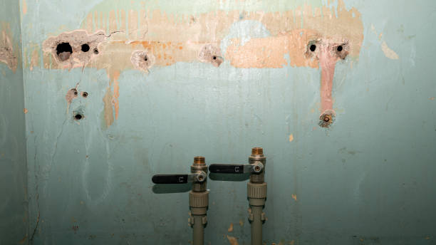 Best Basement water damage restoration  in Cisco, TX